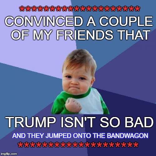 Success Kid for Trump | ********************; CONVINCED A COUPLE OF MY FRIENDS THAT; TRUMP ISN'T SO BAD; AND THEY JUMPED ONTO THE BANDWAGON; ******************** | image tagged in memes,success kid,trump | made w/ Imgflip meme maker