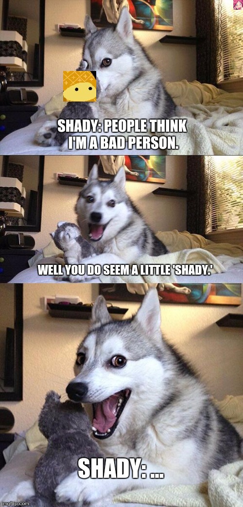 Bad Pun Dog Meme | SHADY: PEOPLE THINK I'M A BAD PERSON. WELL YOU DO SEEM A LITTLE 'SHADY.'; SHADY: ... | image tagged in memes,bad pun dog | made w/ Imgflip meme maker