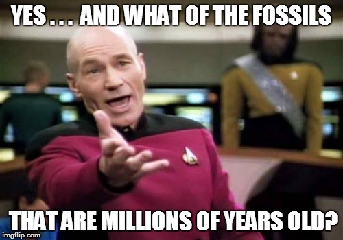 Picard Wtf Meme | YES . . .  AND WHAT OF THE FOSSILS THAT ARE MILLIONS OF YEARS OLD? | image tagged in memes,picard wtf | made w/ Imgflip meme maker