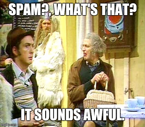 SPAM?, WHAT'S THAT? IT SOUNDS AWFUL. | made w/ Imgflip meme maker