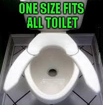 I personally don't have the need for this but I think it's an awesome idea. | ONE SIZE FITS ALL TOILET | image tagged in memes,one size fits all toilet,funny,inventions,fat asses | made w/ Imgflip meme maker