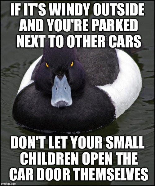 hi res angry advice mallard |  IF IT'S WINDY OUTSIDE AND YOU'RE PARKED NEXT TO OTHER CARS; DON'T LET YOUR SMALL CHILDREN OPEN THE CAR DOOR THEMSELVES | image tagged in hi res angry advice mallard,AdviceAnimals | made w/ Imgflip meme maker