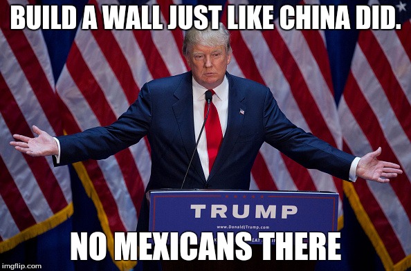 Donald Trump | BUILD A WALL JUST LIKE CHINA DID. NO MEXICANS THERE | image tagged in donald trump | made w/ Imgflip meme maker