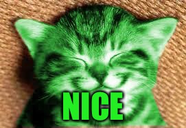 happy RayCat | NICE | image tagged in happy raycat | made w/ Imgflip meme maker