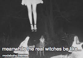 Meanwhile real witches... | meanwhile the real witches be like... modaboho memes | image tagged in witchcraft | made w/ Imgflip meme maker