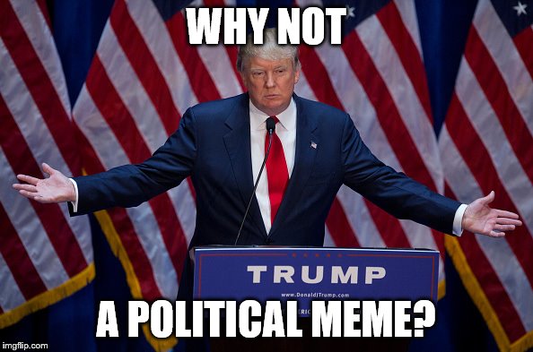 WHY NOT A POLITICAL MEME? | made w/ Imgflip meme maker
