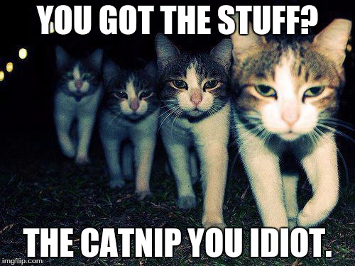 Wrong Neighboorhood Cats | YOU GOT THE STUFF? THE CATNIP YOU IDIOT. | image tagged in memes,wrong neighboorhood cats | made w/ Imgflip meme maker