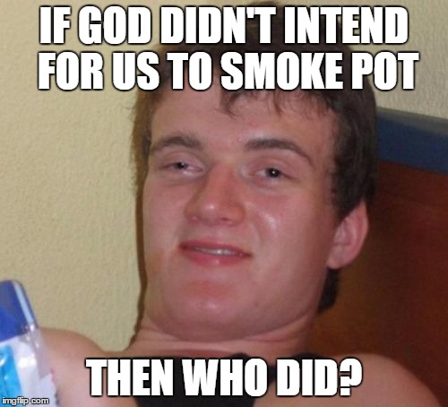 10 Guy | IF GOD DIDN'T INTEND FOR US TO SMOKE POT; THEN WHO DID? | image tagged in memes,10 guy | made w/ Imgflip meme maker