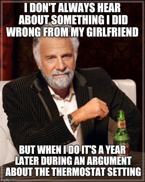 The Most Interesting Man In The World Meme | I DON'T ALWAYS HEAR ABOUT SOMETHING I DID WRONG FROM MY GIRLFRIEND; BUT WHEN I DO IT'S A YEAR LATER DURING AN ARGUMENT ABOUT THE THERMOSTAT SETTING | image tagged in memes,the most interesting man in the world | made w/ Imgflip meme maker