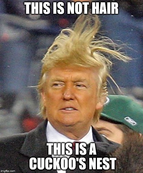 He's nuts, you know... | THIS IS NOT HAIR; THIS IS A CUCKOO'S NEST | image tagged in donald trumph hair,memes | made w/ Imgflip meme maker
