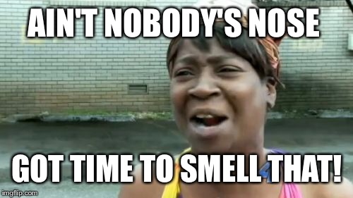 Ain't Nobody Got Time For That Meme | AIN'T NOBODY'S NOSE GOT TIME TO SMELL THAT! | image tagged in memes,aint nobody got time for that | made w/ Imgflip meme maker