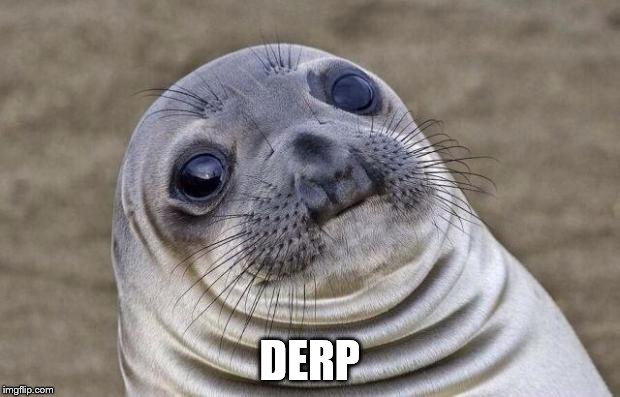 Awkward Moment Sealion | DERP | image tagged in memes,awkward moment sealion | made w/ Imgflip meme maker