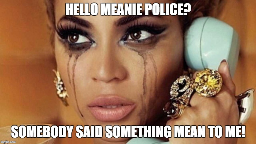 HELLO MEANIE POLICE? SOMEBODY SAID SOMETHING MEAN TO ME! | image tagged in mennie | made w/ Imgflip meme maker