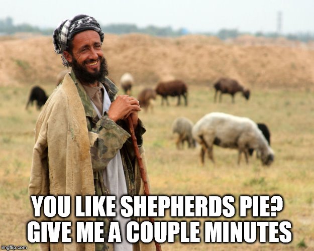 Shepard | YOU LIKE SHEPHERDS PIE? GIVE ME A COUPLE MINUTES | image tagged in shepard | made w/ Imgflip meme maker
