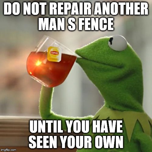 But That's None Of My Business | DO NOT REPAIR ANOTHER MAN S FENCE; UNTIL YOU HAVE SEEN YOUR OWN | image tagged in memes,but thats none of my business,kermit the frog | made w/ Imgflip meme maker