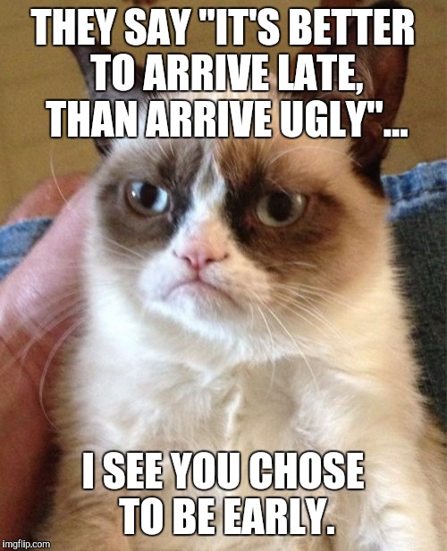 Grumpy Cat | THEY SAY "IT'S BETTER TO ARRIVE LATE, THAN ARRIVE UGLY"... I SEE YOU CHOSE TO BE EARLY. | image tagged in memes,grumpy cat | made w/ Imgflip meme maker