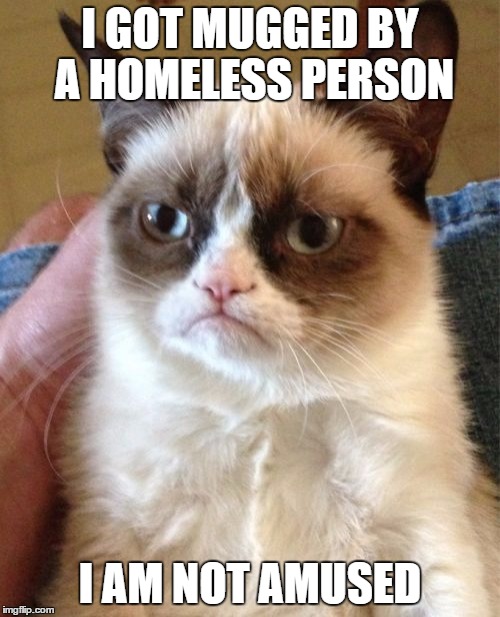 I got mugged by a homeless person I am not amused | I GOT MUGGED BY A HOMELESS PERSON; I AM NOT AMUSED | image tagged in memes,grumpy cat | made w/ Imgflip meme maker