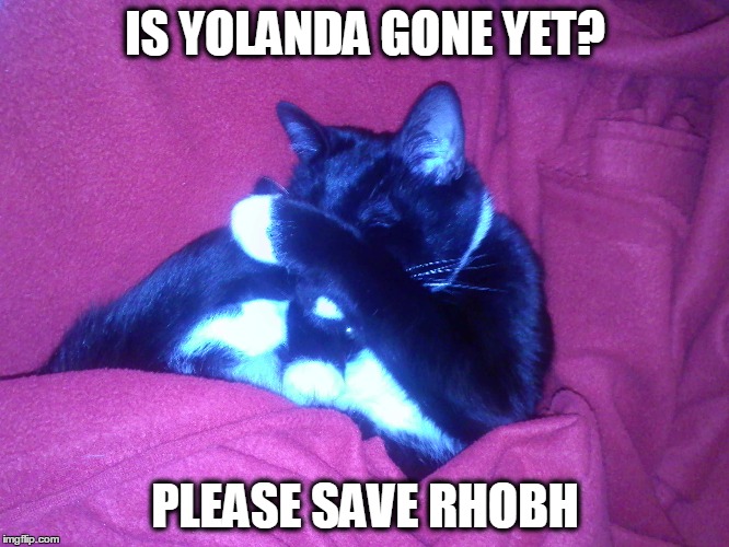 When Yolanda Ruins RHOBH | IS YOLANDA GONE YET? PLEASE SAVE RHOBH | image tagged in memes rhobh | made w/ Imgflip meme maker