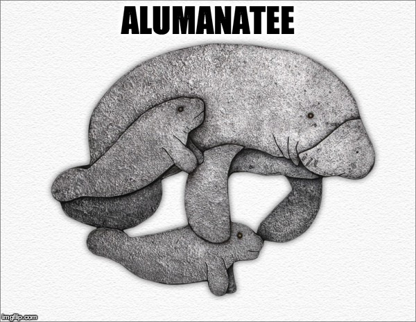 ALUMANATEE | image tagged in alumanatee | made w/ Imgflip meme maker