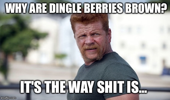 Why are dingle berries brown? | WHY ARE DINGLE BERRIES BROWN? IT'S THE WAY SHIT IS... | image tagged in dingle berries,twd,abraham | made w/ Imgflip meme maker
