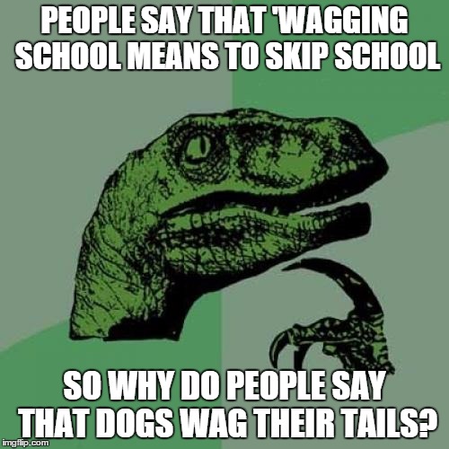 Wagging Logic | PEOPLE SAY THAT 'WAGGING SCHOOL MEANS TO SKIP SCHOOL; SO WHY DO PEOPLE SAY THAT DOGS WAG THEIR TAILS? | image tagged in memes,philosoraptor | made w/ Imgflip meme maker