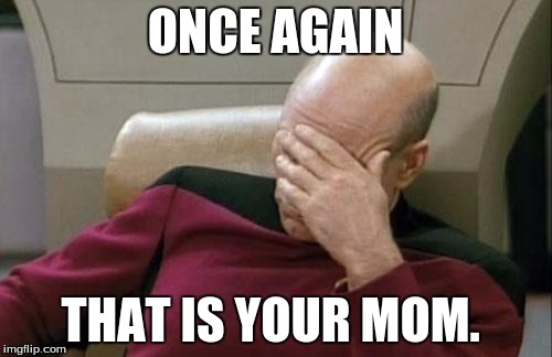 Captain Picard Facepalm Meme | ONCE AGAIN THAT IS YOUR MOM. | image tagged in memes,captain picard facepalm | made w/ Imgflip meme maker