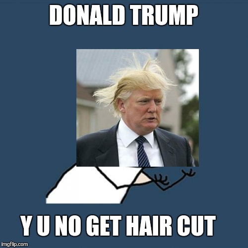 Y U no weekend extravaganza | DONALD TRUMP; Y U NO GET HAIR CUT | image tagged in memes,y u no,donald trump,donald trumph hair,election 2016,trump | made w/ Imgflip meme maker