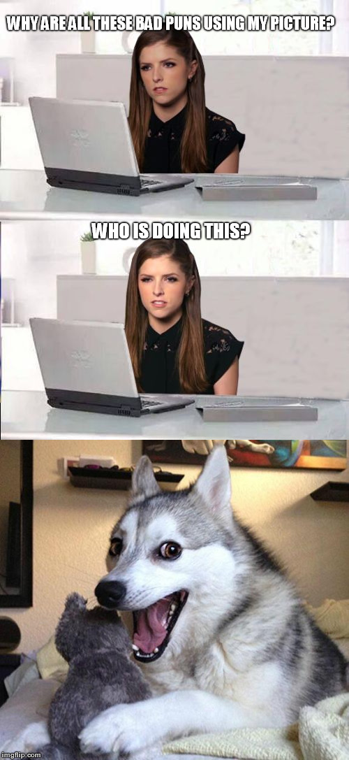 Bad Pun Revenge | WHY ARE ALL THESE BAD PUNS USING MY PICTURE? WHO IS DOING THIS? | image tagged in bad pun dog,bad pun anna kendrick | made w/ Imgflip meme maker