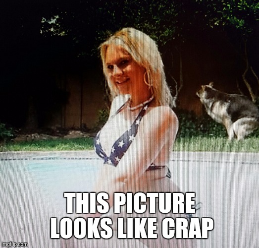 THIS PICTURE LOOKS LIKE CRAP | image tagged in photo bomb,model,swimming pool,beautiful,dog day afternoon | made w/ Imgflip meme maker