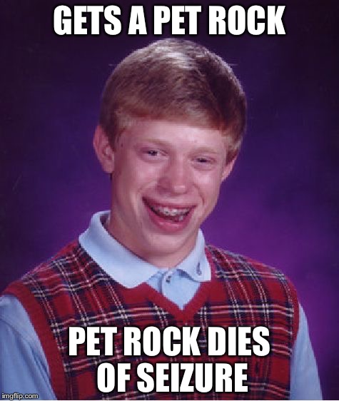 Bad Luck Brian Meme | GETS A PET ROCK; PET ROCK DIES OF SEIZURE | image tagged in memes,bad luck brian | made w/ Imgflip meme maker