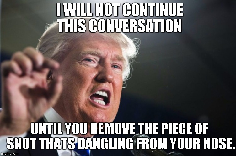 donald trump | I WILL NOT CONTINUE THIS CONVERSATION; UNTIL YOU REMOVE THE PIECE OF SNOT THATS DANGLING FROM YOUR NOSE. | image tagged in donald trump | made w/ Imgflip meme maker