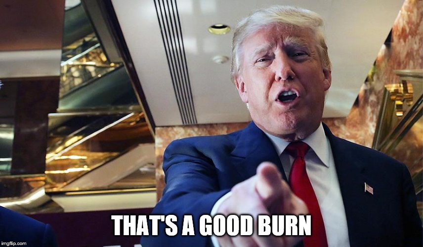 THAT'S A GOOD BURN | made w/ Imgflip meme maker