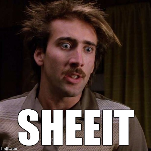 Nicholas Cage | SHEEIT | image tagged in nicholas cage | made w/ Imgflip meme maker