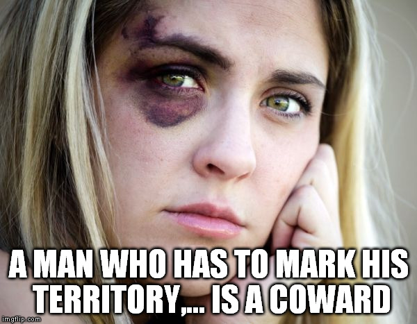 this is never OK | A MAN WHO HAS TO MARK HIS TERRITORY,... IS A COWARD | image tagged in woman | made w/ Imgflip meme maker