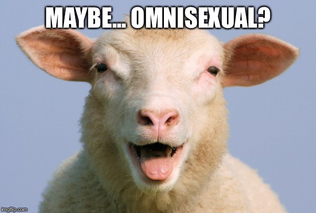 MAYBE... OMNISEXUAL? | made w/ Imgflip meme maker