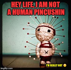 Pincushin | HEY LIFE, I AM NOT A HUMAN PINCUSHIN; I'M REALLY NOT 😔 | image tagged in pincushin | made w/ Imgflip meme maker
