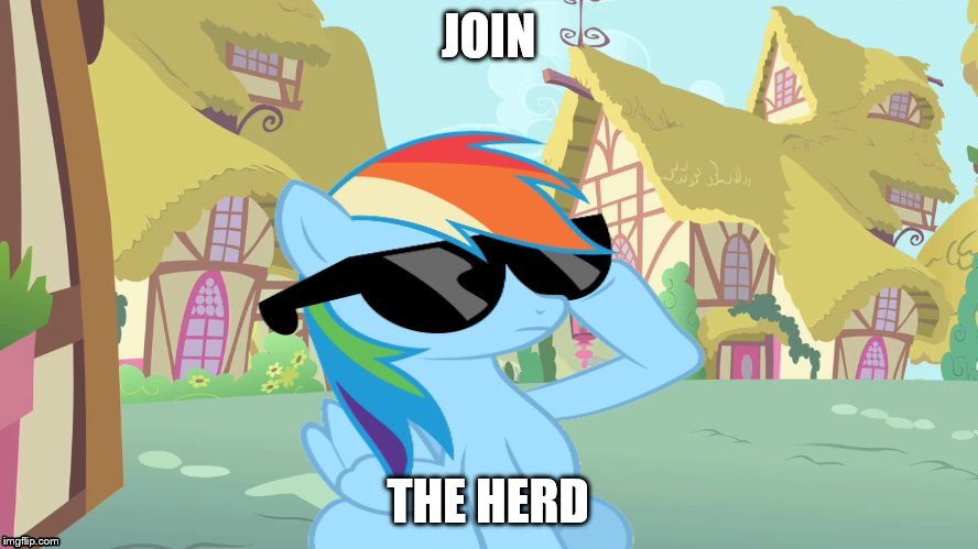 JOIN THE HERD | image tagged in rainbow dash shades | made w/ Imgflip meme maker