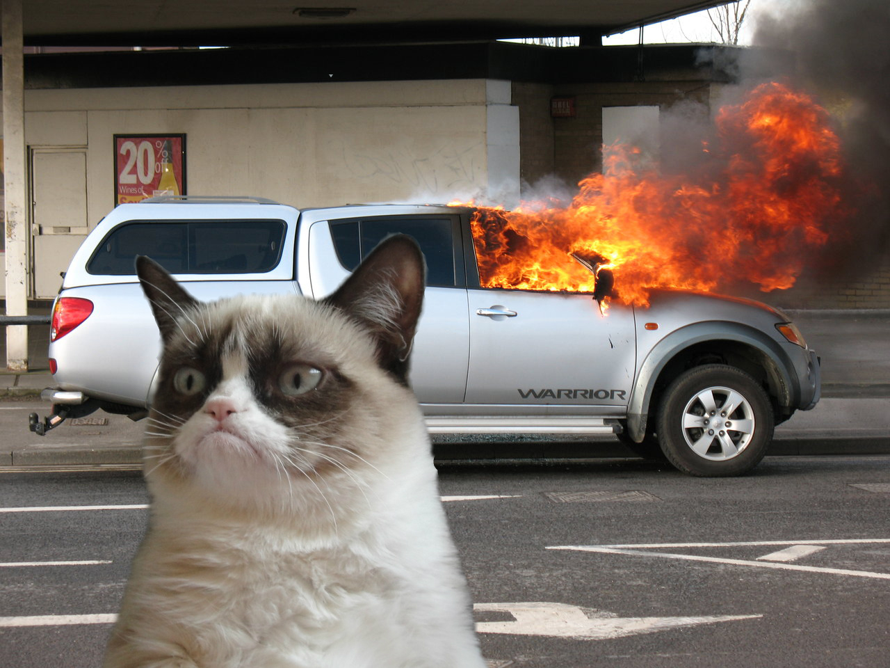 High Quality Grumpy Cat Car on Fire Blank Meme Template