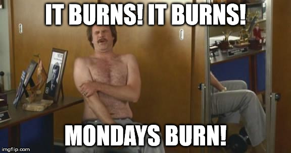 ouch burgundy | IT BURNS! IT BURNS! MONDAYS BURN! | image tagged in ron burgundy deep burn | made w/ Imgflip meme maker