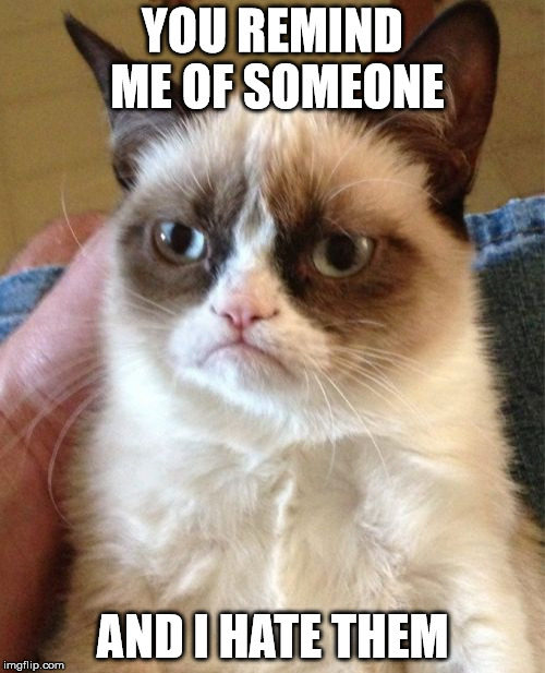 Grumpy Cat Meme | YOU REMIND ME OF SOMEONE; AND I HATE THEM | image tagged in memes,grumpy cat | made w/ Imgflip meme maker