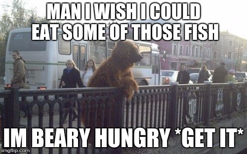 City Bear | MAN I WISH I COULD EAT SOME OF THOSE FISH; IM BEARY HUNGRY *GET IT* | image tagged in memes,city bear | made w/ Imgflip meme maker