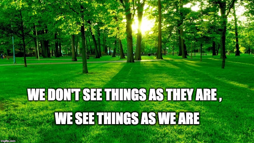 Nature | WE DON'T SEE THINGS AS THEY ARE , WE SEE THINGS AS WE ARE | image tagged in nature | made w/ Imgflip meme maker