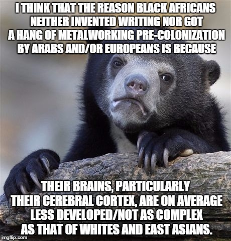Confession Bear Meme | I THINK THAT THE REASON BLACK AFRICANS NEITHER INVENTED WRITING NOR GOT A HANG OF METALWORKING PRE-COLONIZATION BY ARABS AND/OR EUROPEANS IS BECAUSE; THEIR BRAINS, PARTICULARLY THEIR CEREBRAL CORTEX, ARE ON AVERAGE LESS DEVELOPED/NOT AS COMPLEX AS THAT OF WHITES AND EAST ASIANS. | image tagged in memes,confession bear | made w/ Imgflip meme maker