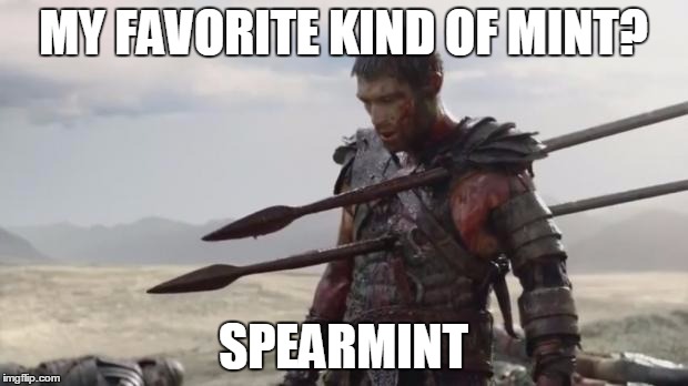 Spartacus | MY FAVORITE KIND OF MINT? SPEARMINT | image tagged in spartacus | made w/ Imgflip meme maker