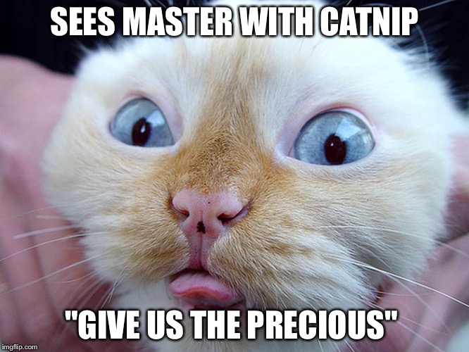 SEES MASTER WITH CATNIP; "GIVE US THE PRECIOUS" | image tagged in gollum cat | made w/ Imgflip meme maker