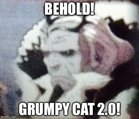 BEHOLD! GRUMPY CAT 2.0! | image tagged in garon grumpy cat | made w/ Imgflip meme maker