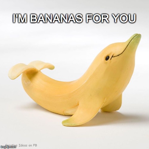 You're delicious | I'M BANANAS FOR YOU | image tagged in bananas over you,bananas for you,banana,dolphin | made w/ Imgflip meme maker