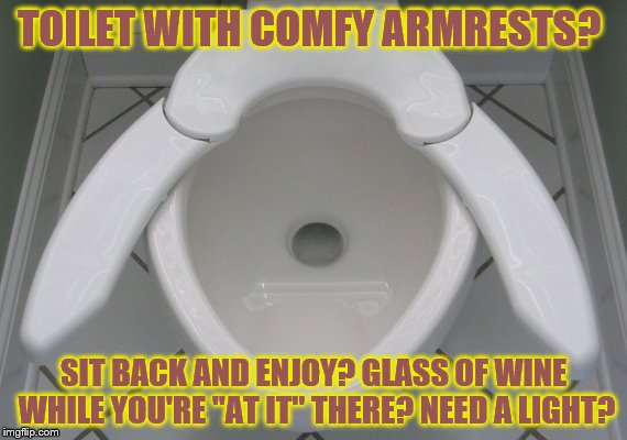 WHY? Why, Why... Oh, Wait- Why Again? | TOILET WITH COMFY ARMRESTS? SIT BACK AND ENJOY? GLASS OF WINE WHILE YOU'RE "AT IT" THERE? NEED A LIGHT? | image tagged in odd toilets,bathroom,potty,humor memes,sarcasm memes | made w/ Imgflip meme maker