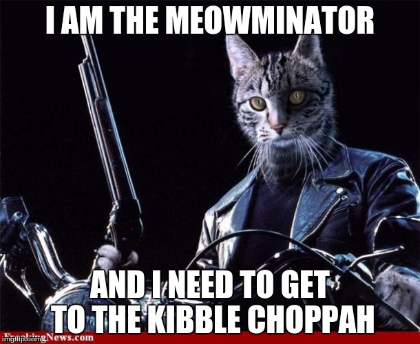 terminator cat | I AM THE MEOWMINATOR; AND I NEED TO GET TO THE KIBBLE CHOPPAH | image tagged in terminator cat | made w/ Imgflip meme maker
