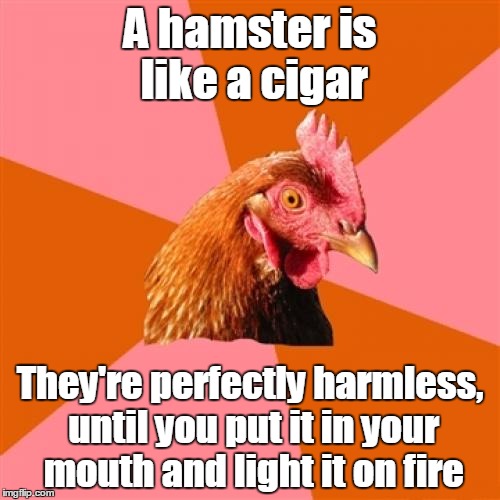 Anti Joke Chicken | A hamster is like a cigar; They're perfectly harmless, until you put it in your mouth and light it on fire | image tagged in memes,anti joke chicken | made w/ Imgflip meme maker